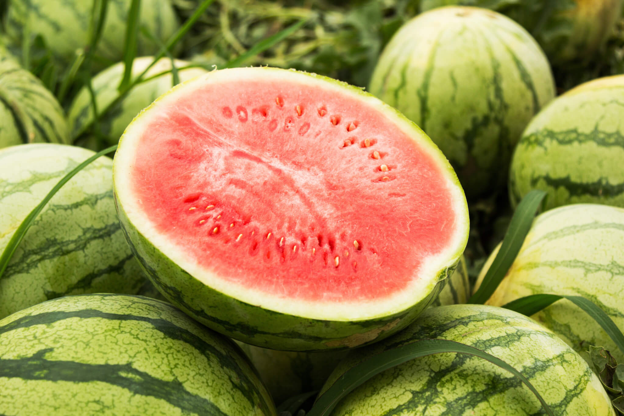 Watermelon Juice Concentrate Clarified Acidified 65 Brix (WMJC65A-L001-DR00) in Drums